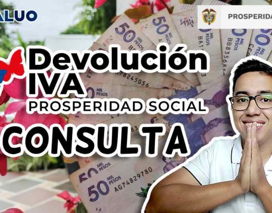 Consulta devolución del IVA idealuo.com
