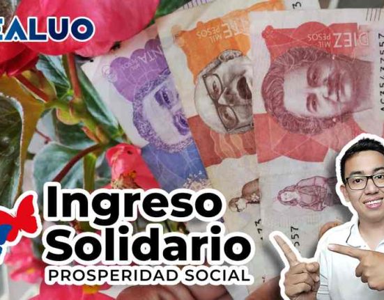 Ingreso solidario idealuo.com