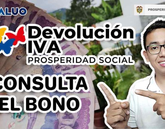 Consulta Devolución del IVA idealuo.com