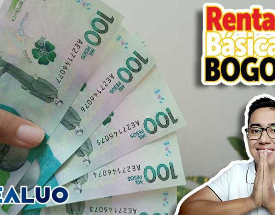 Ingreso mínimo garantizado wintor abc idealuo.com