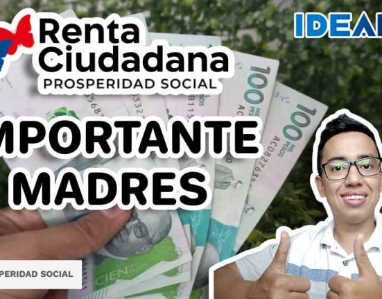 Renta ciudadana Wintor ABC idealuo.com