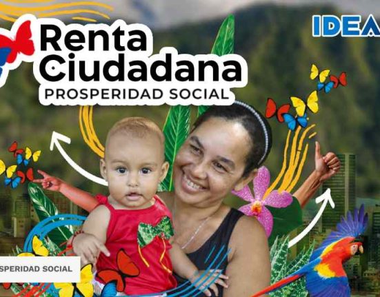 Subsidio Renta ciudadana idealuo.com