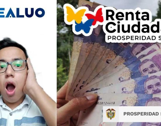 Wintor ABC Renta ciudadana idealuo.com
