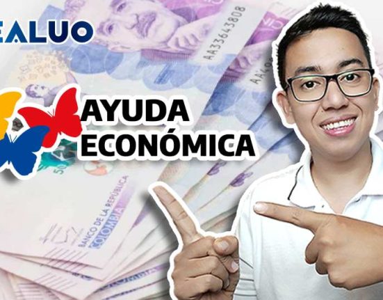 wintor abc bono idealuo.com