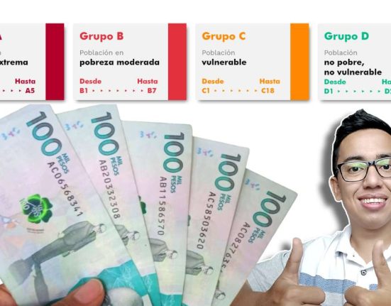 wintor abc requisitos idealuo.com