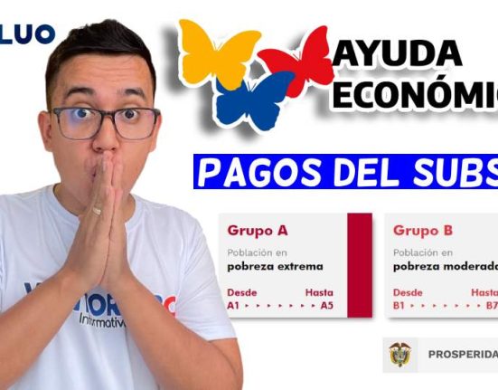 Focalización idealuo.com