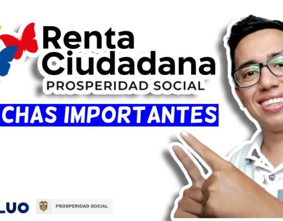 renta ciudadana 2024 pago idealuo.com