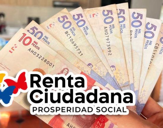 renta ciudadana 2024 giro idealuo.com