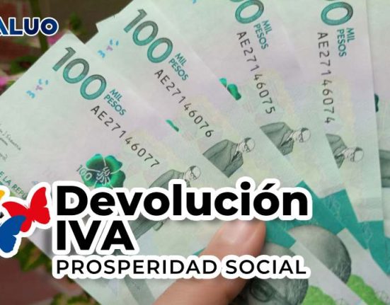 transferencias monetarias devolución del IVA idealuo.com