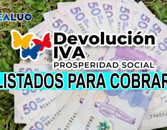 transferencias monetarias devolución del iva idealuo.com