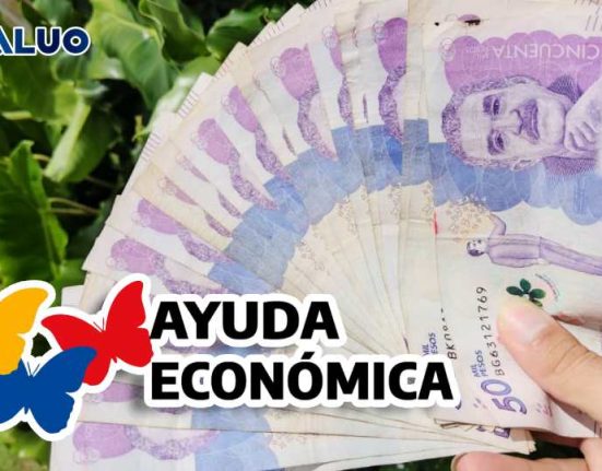wintor abc transferencias monetarias idealuo.com