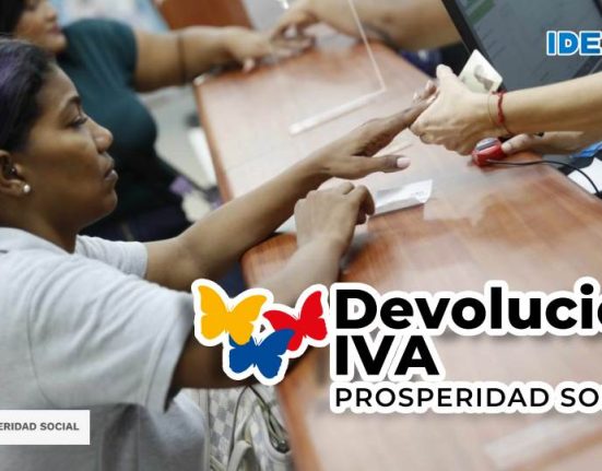 verifica IVA 2024 idealuo.com