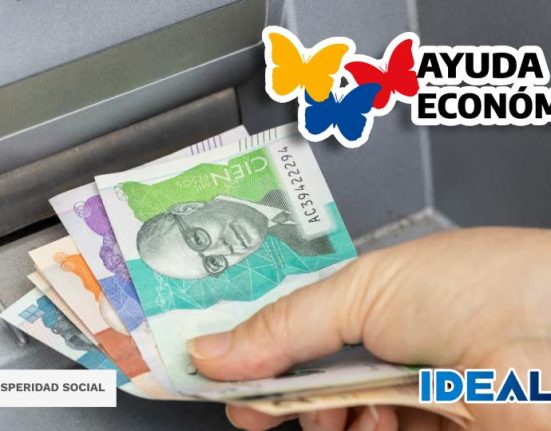 verifica subsidios idealuo.com