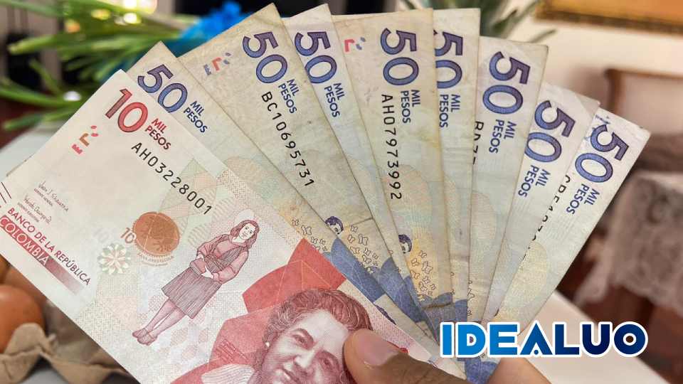 wintor abc pago idealuo.com