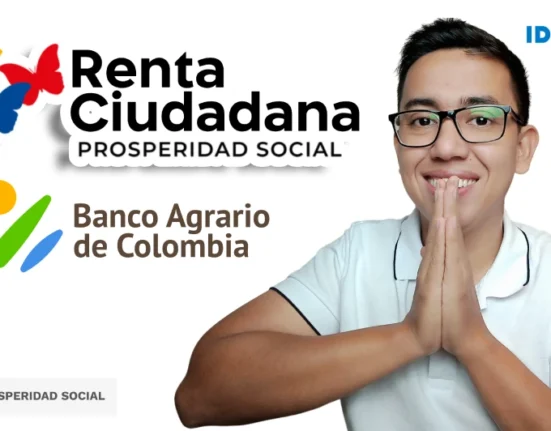 consulta subsidio idealuo.com