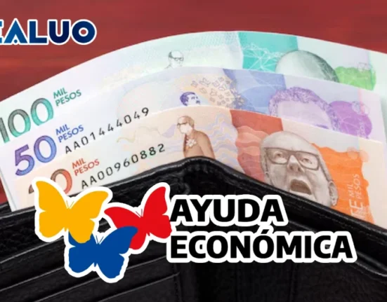 verifica bono idealuo.com