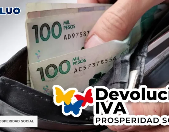 wintor abc IVA 2024 idealuo.com