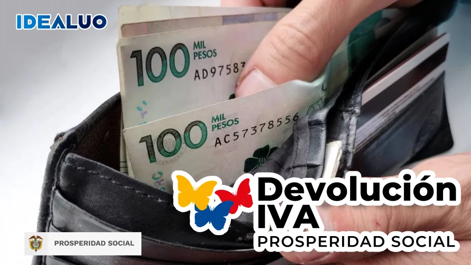 wintor abc IVA 2024 idealuo.com