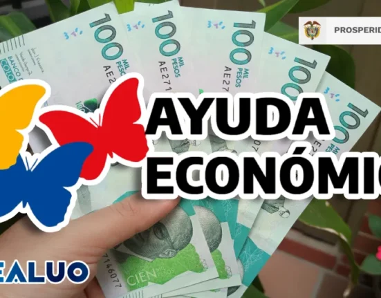 wintor abc consulta idealuo.com
