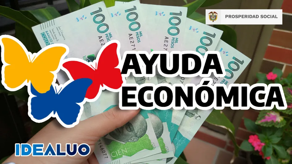 wintor abc consulta idealuo.com