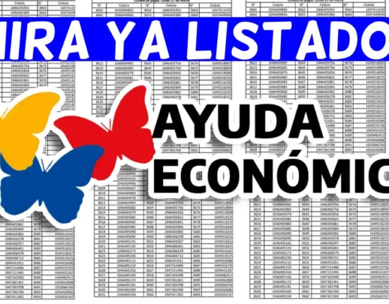 CONSULTA BONO IDEALUO.COM