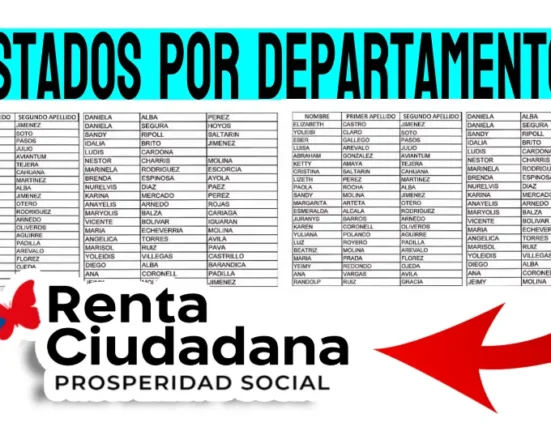 consulta subsidio