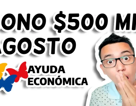 wintor abc bono idealuo.com