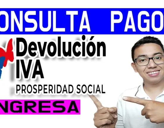 CONSULTA IVA 2024
