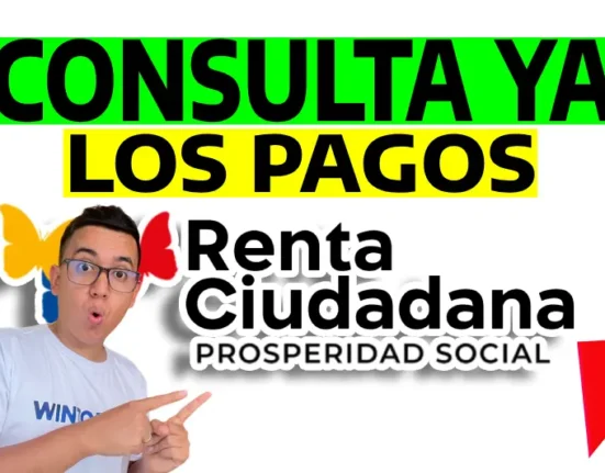 CONSULTA PAGO