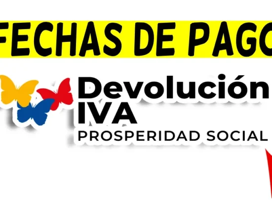 IVA 2024 PAGO