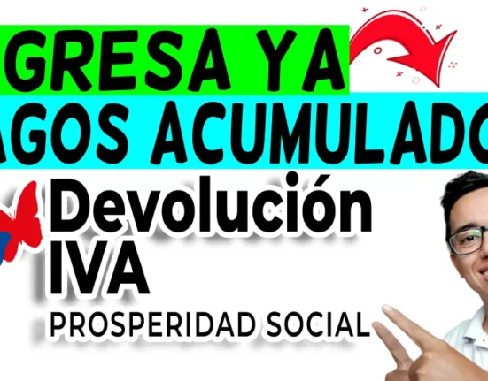 IVA 2024 PAGOS