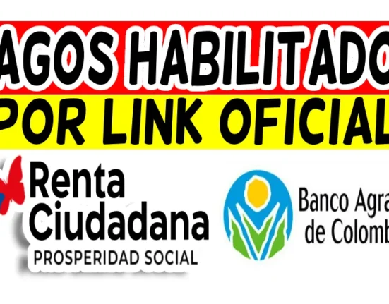 PAGOS LINK