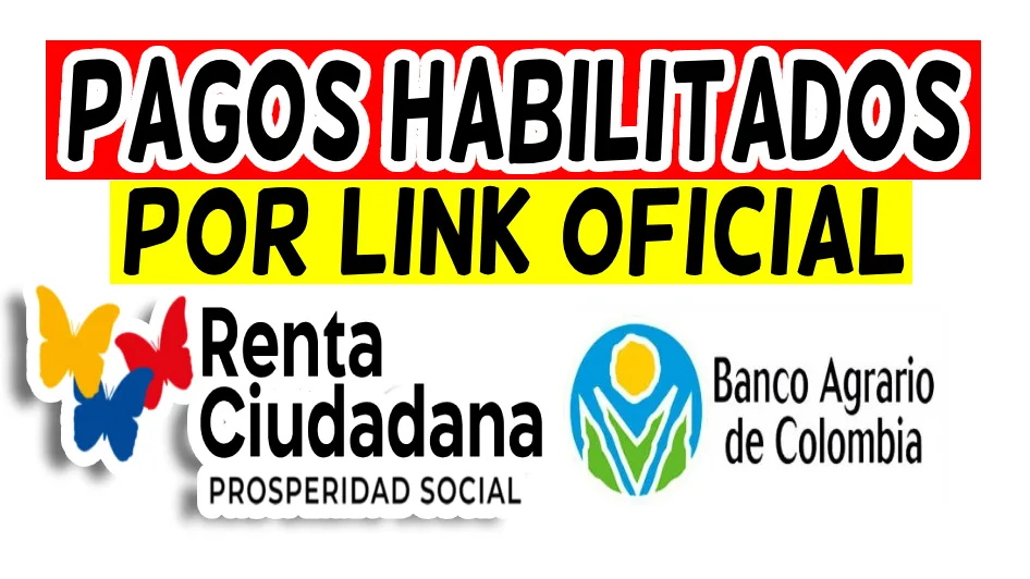 PAGOS LINK