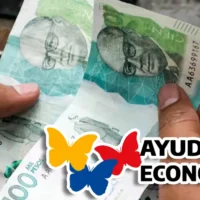 Ayuda económica