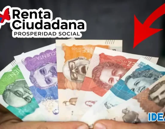 Giros en Renta ciudadana 2025