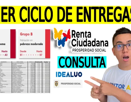 1er ciclo de entrega