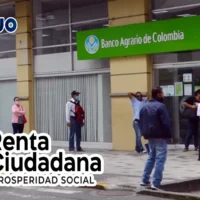Link para consultar 5 ciclo