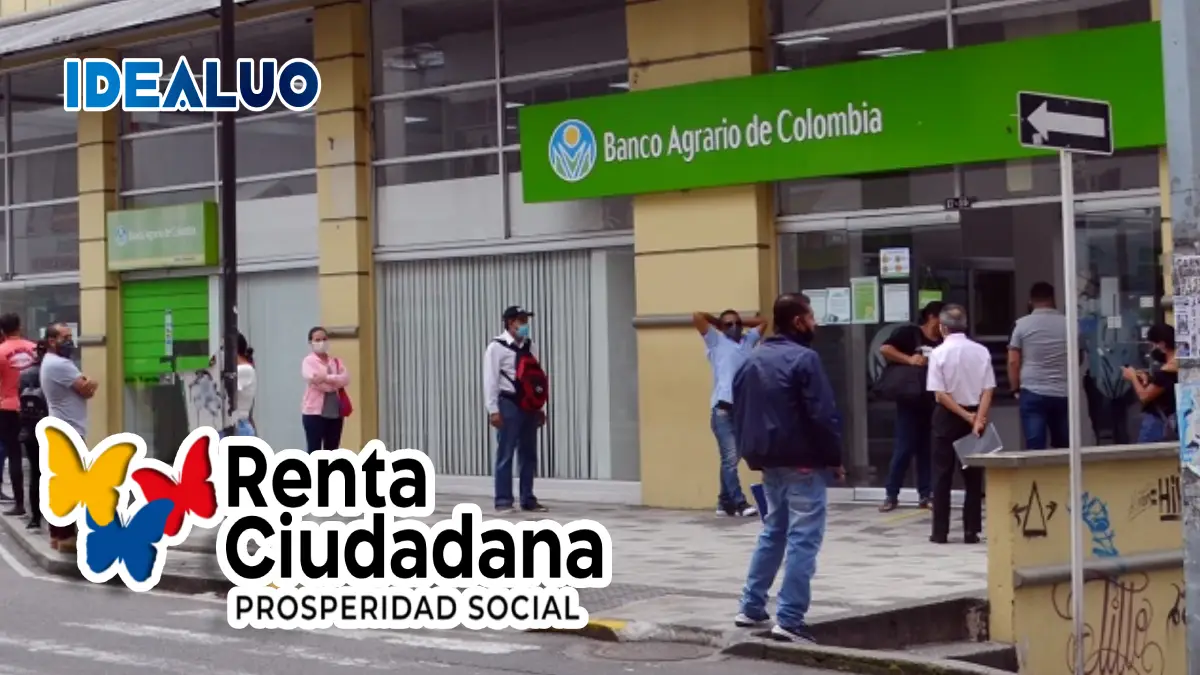 Link para consultar 5 ciclo