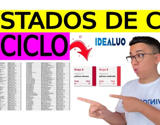 Listados de CC para bono 5 ciclo