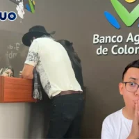 Link de consulta en diciembre