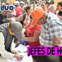 Notificación a nuevos jefes de hogar