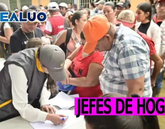 Notificación a nuevos jefes de hogar