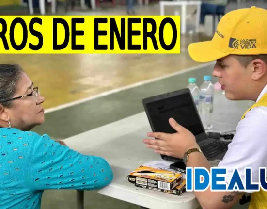 Consulta los giros de enero