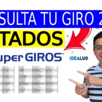 Consulta tu giro 2026