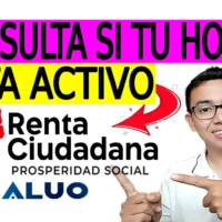 consultar si tu hogar está activo