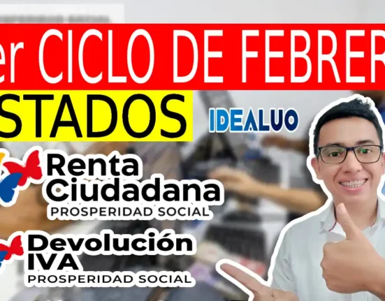 Consulta 1er ciclo en febrero