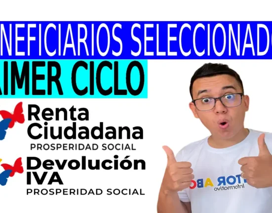 Consulta La selección del primer ciclo