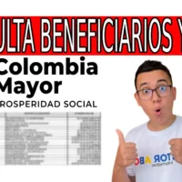 Link y beneficiarios por giro