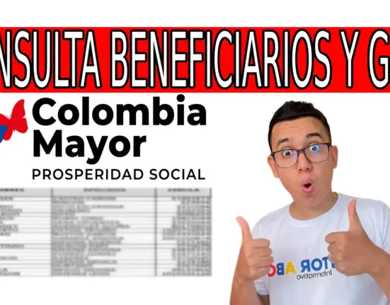 Link y beneficiarios por giro