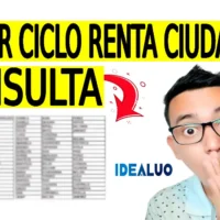 Tercer ciclo de la renta ciudadana
